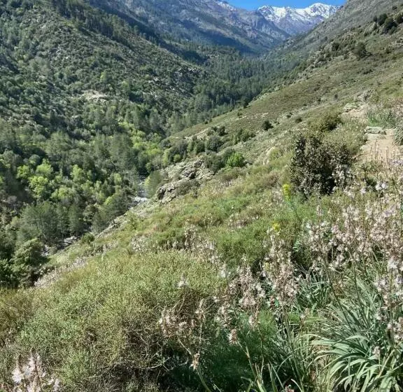 ベッドアンドブレックファースト U Pasturellu