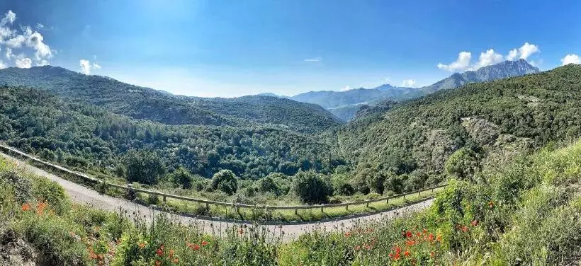 ベッドアンドブレックファースト U Pasturellu