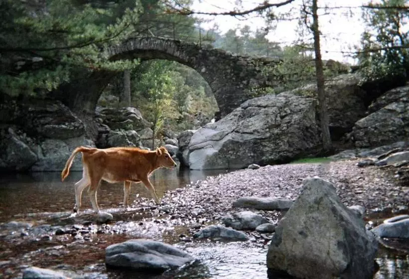 ベッドアンドブレックファースト U Pasturellu