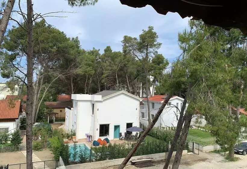 هتل Vila Bledi