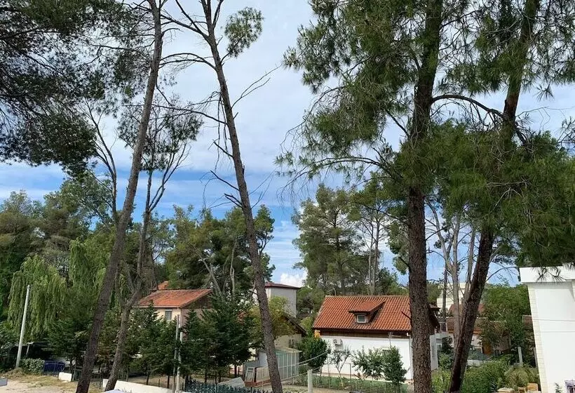 هتل Vila Bledi