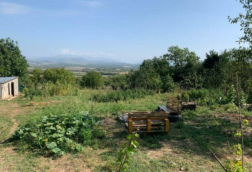 پانسیون Eco Family Guest House