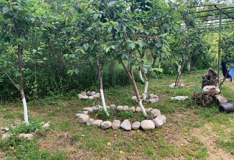 پانسیون Eco Family Guest House