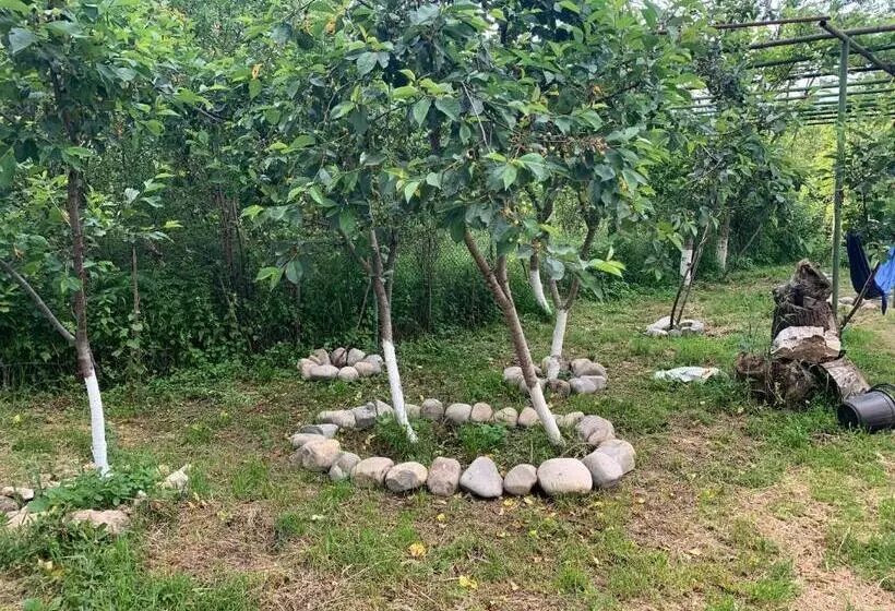 پانسیون Eco Family Guest House