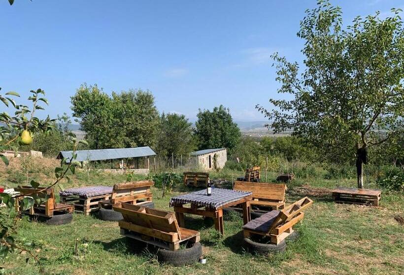 پانسیون Eco Family Guest House