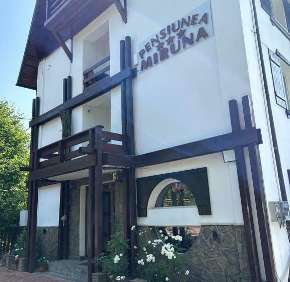 Pensiunea Miruna
