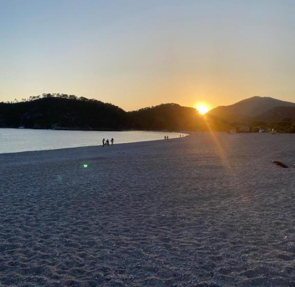 Bed and Breakfast Dialog Konak Odalarl