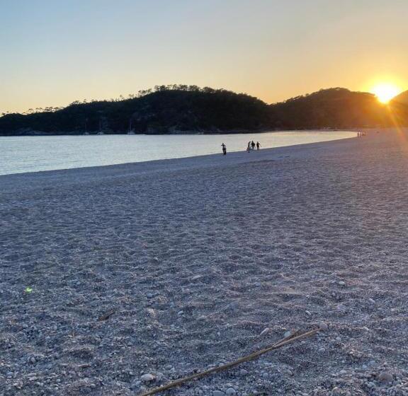 Bed and Breakfast Dialog Konak Odalarl