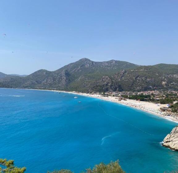 Bed and Breakfast Dialog Konak Odalarl