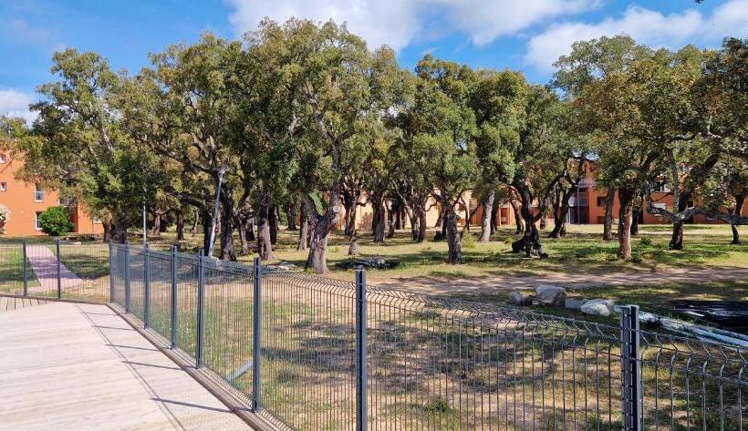 T2 4 Personnes Résidence De Vacances Avec 3 Piscines Les Hameaux De Saint Cyprien Lecci De Porto Vec