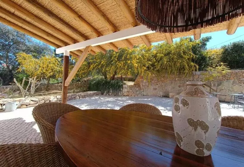 B&b Vila Alegria Ch1 Estoi