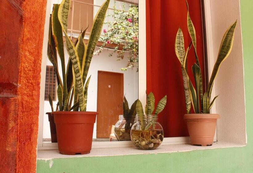 پانسیون Hostal El Graciano