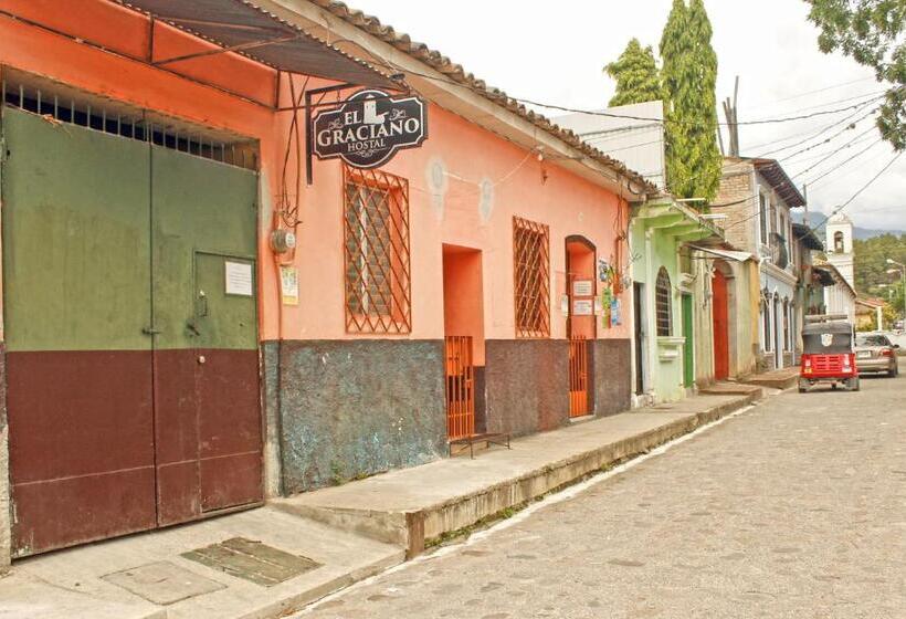 پانسیون Hostal El Graciano