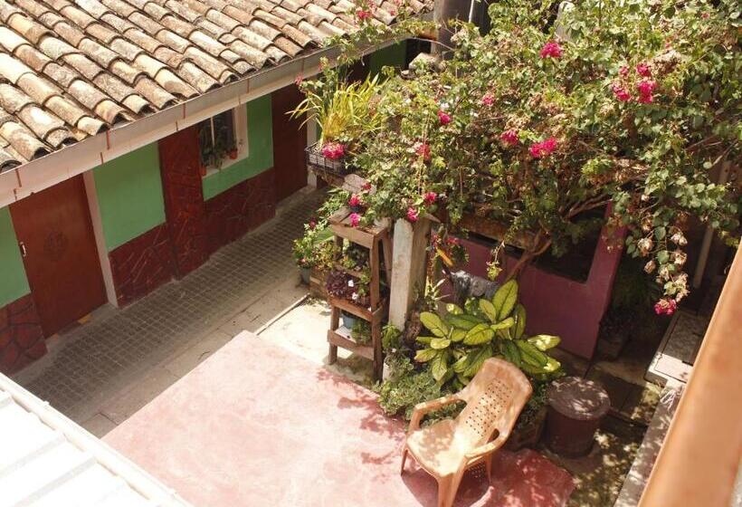 پانسیون Hostal El Graciano