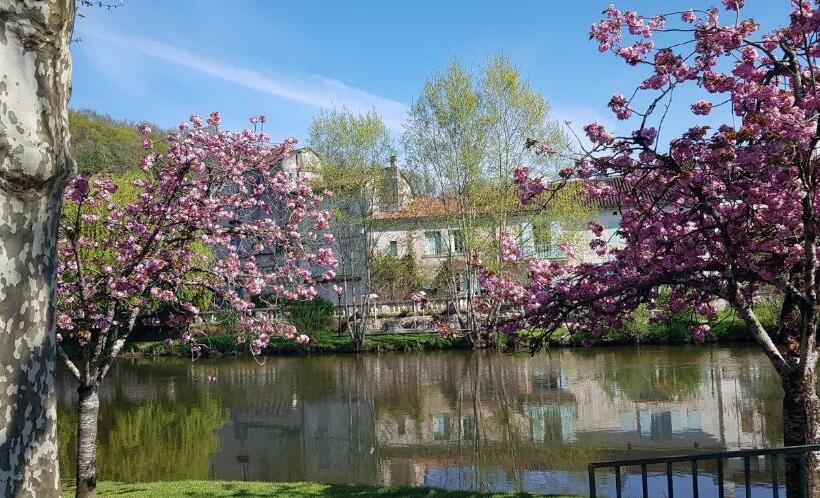 פנסיון Ici Cool Une Rivière