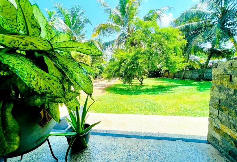 هاستل Hidden Heaven