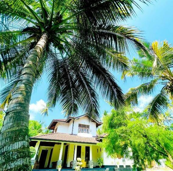 هاستل Hidden Heaven