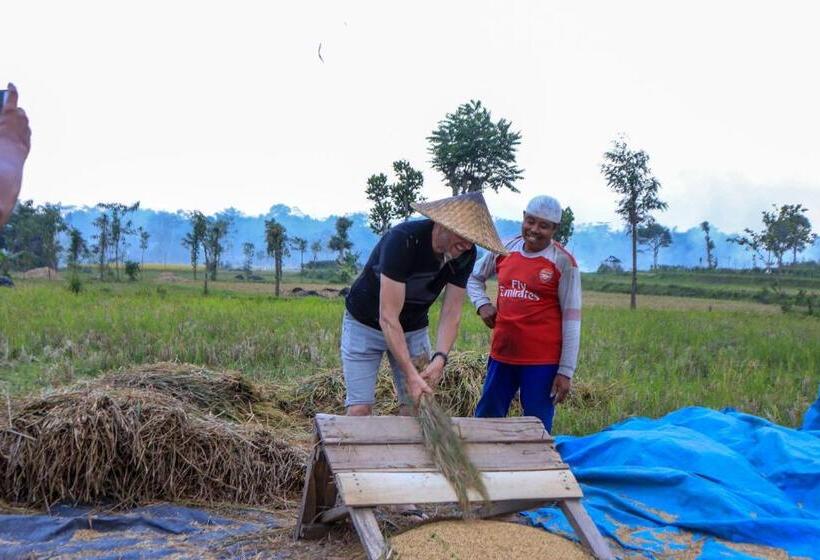 مبيت وإفطار Bale Villa Central Lombok