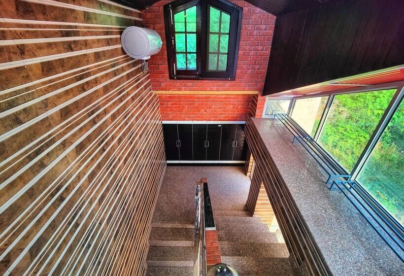 Bed and Breakfast Dk Residency Shimla