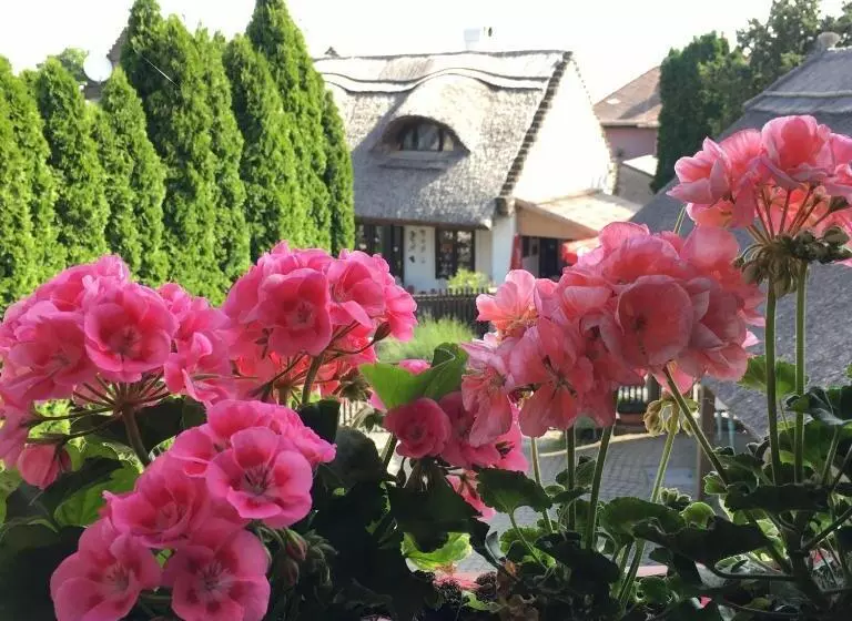 ペンション Kékmadaras Vendégház Tihany