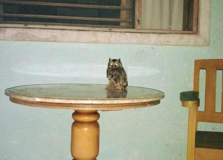 בית מלון כפרי Chicanna Ecovillage Resort