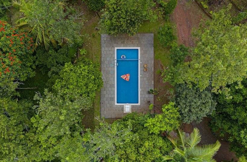 בית מלון כפרי Misty Heights By The Sanihara