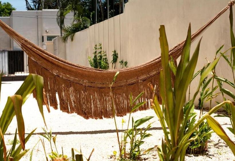 پانسیون Consentido Tamarindo