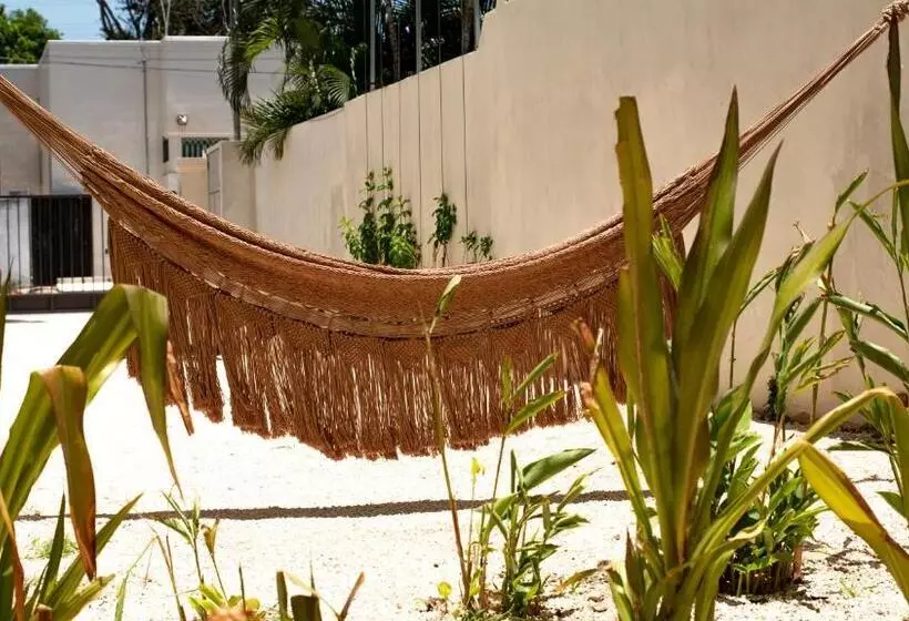 پانسیون Consentido Tamarindo