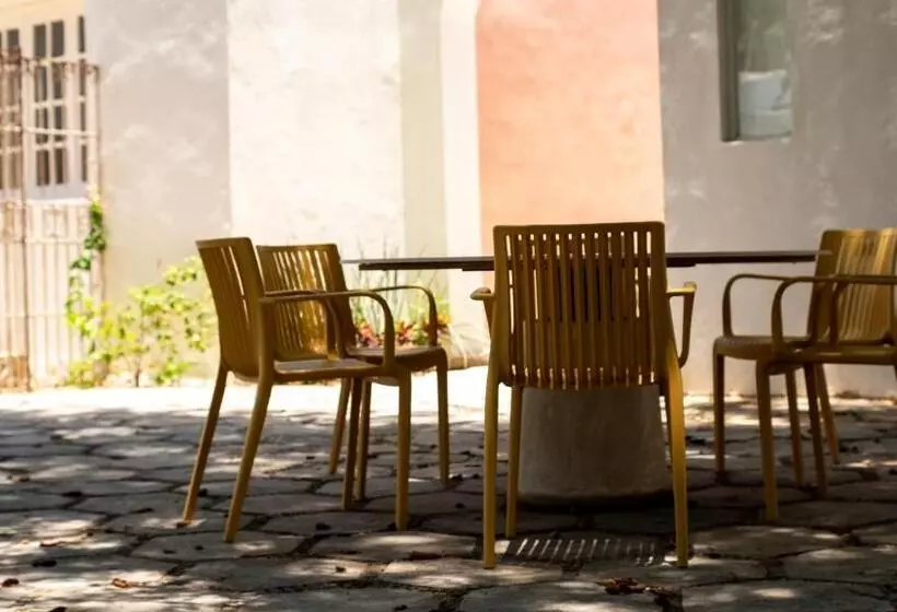 پانسیون Consentido Tamarindo