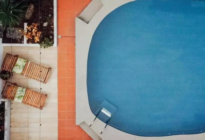 ペンション Hostal Pimampiro