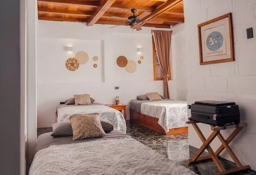 ペンション Hostal Pimampiro