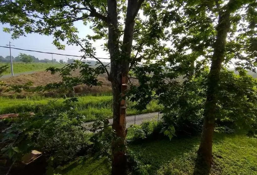 Outlander Cottage   Family B&b