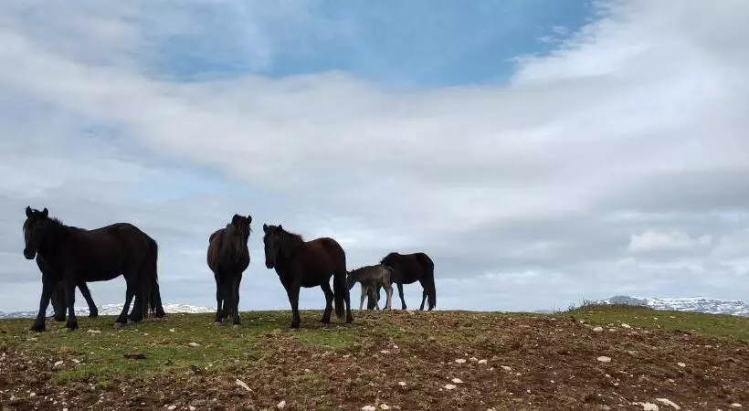ホテル Rural La Engaña