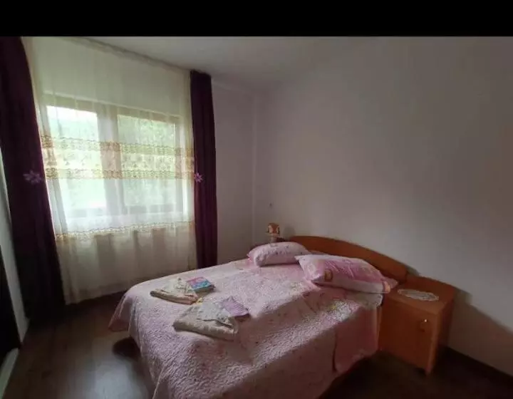 ペンション Casa Andreea