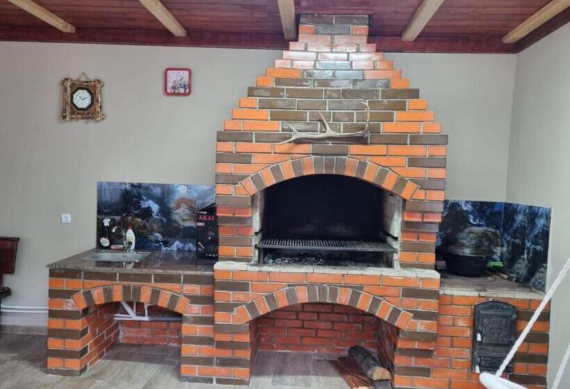 پانسیون Casa Andreea