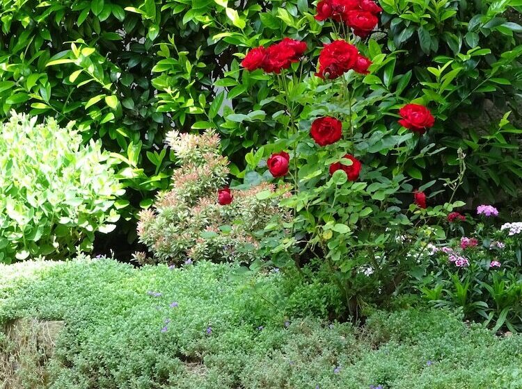 호텔 Gasthaus Gonnermann