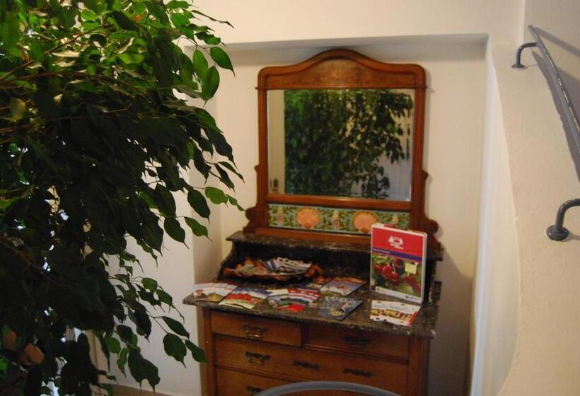 호텔 Gasthaus Zum Löwen   Restaurant Akropolis