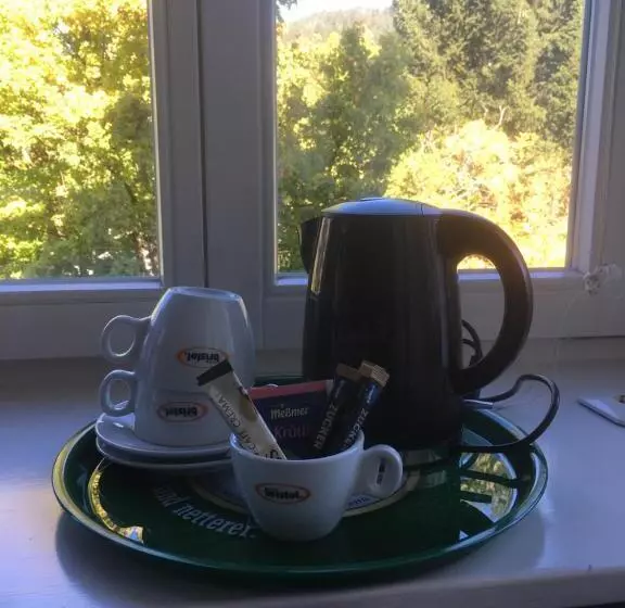 ホテル Gasthaus Zum Löwen   Restaurant Akropolis