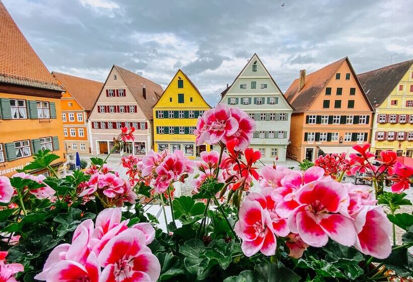 酒店 Gasthaus Zur Sonne