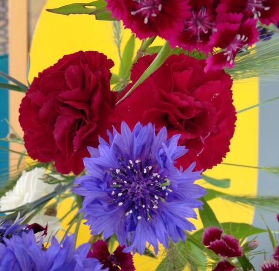 Отель Gästehaus Priester