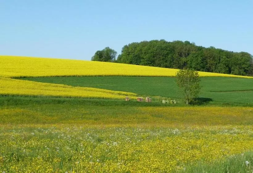 Hotelli Kuchalber Hof