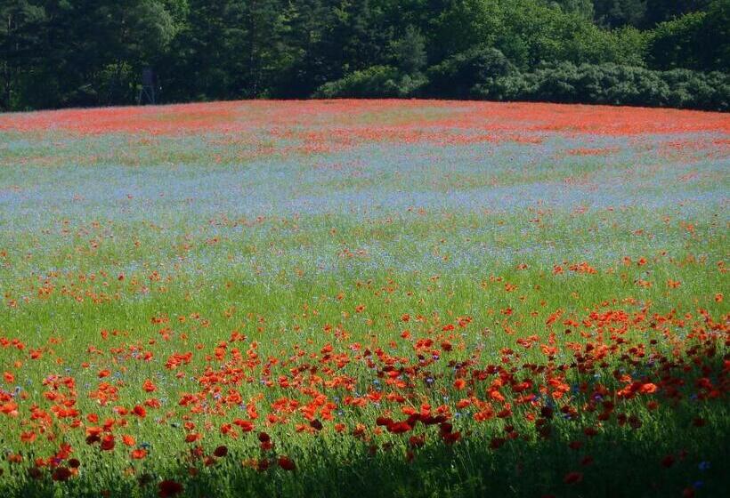 Отель Müritzhöh