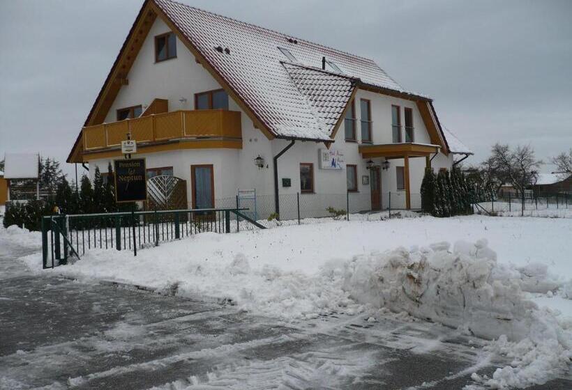 Отель Pension Neptun