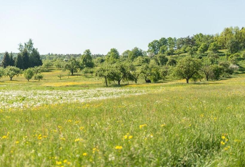 فندق Restaurant Zehn Brunnen
