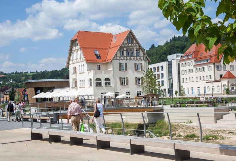 فندق Villa Hirzel