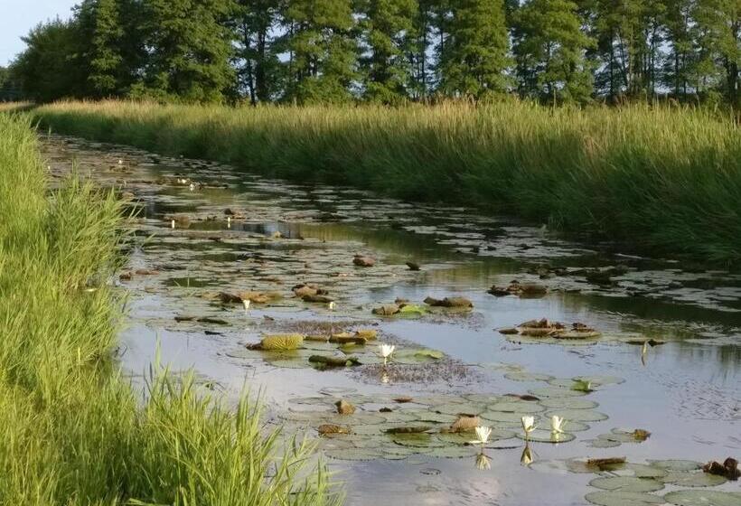 مبيت وإفطار Castrum Camping & Pension