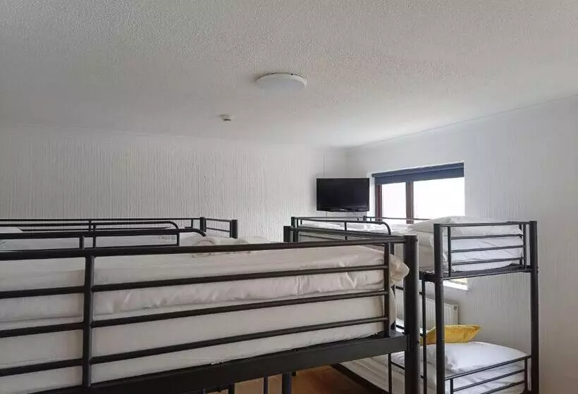 Hughie Mickey Dan S B&b