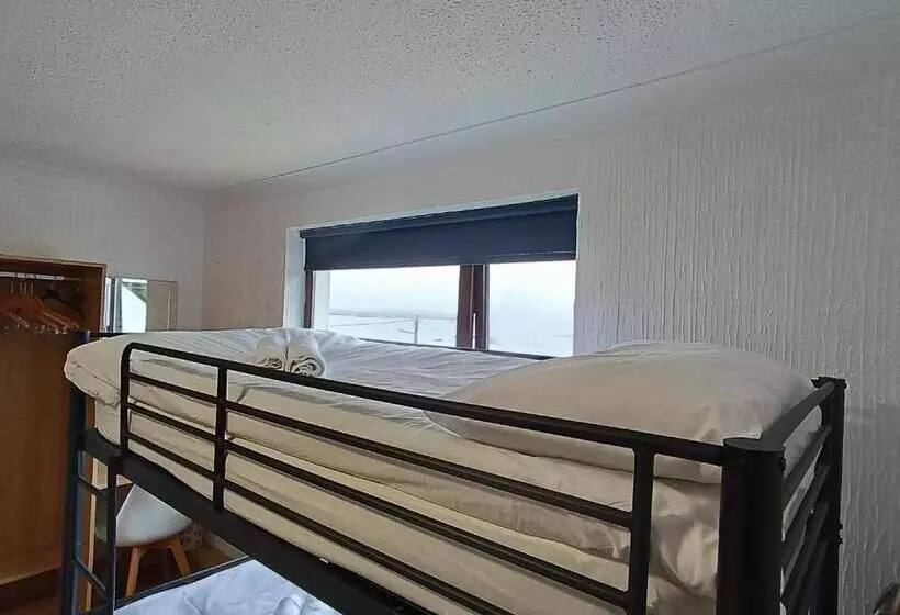 Hughie Mickey Dan S B&b