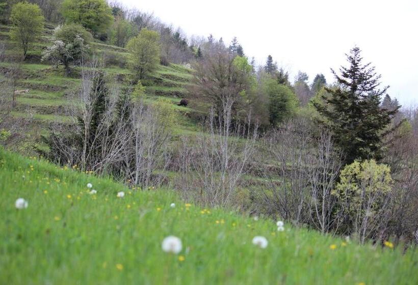 בית מלון כפרי Agriturismo I Giggi