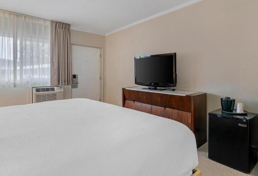 酒店 Downtown Dover Inn